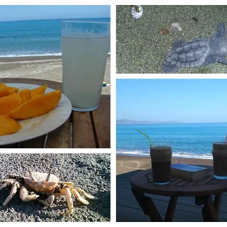 Seafront Family Beachouse In Cyprus Near Polis Holiday home *